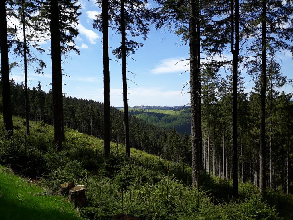 Hotel Drei Kronen Frauenwald Exteriör bild